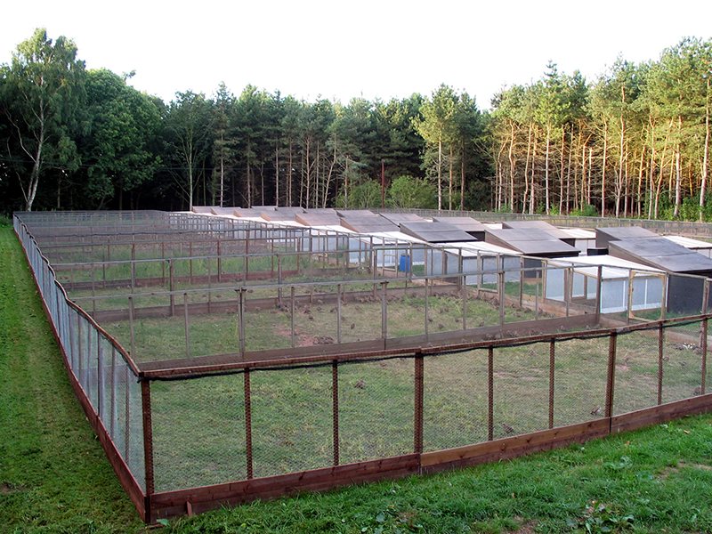Pen sections