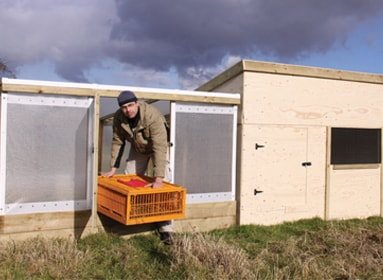 Small Sheds & Veranda Units