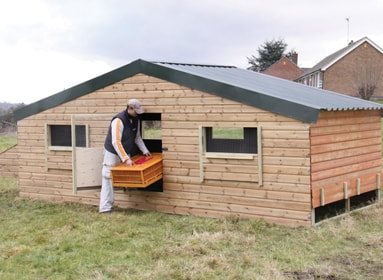 Chicken Layer Sheds